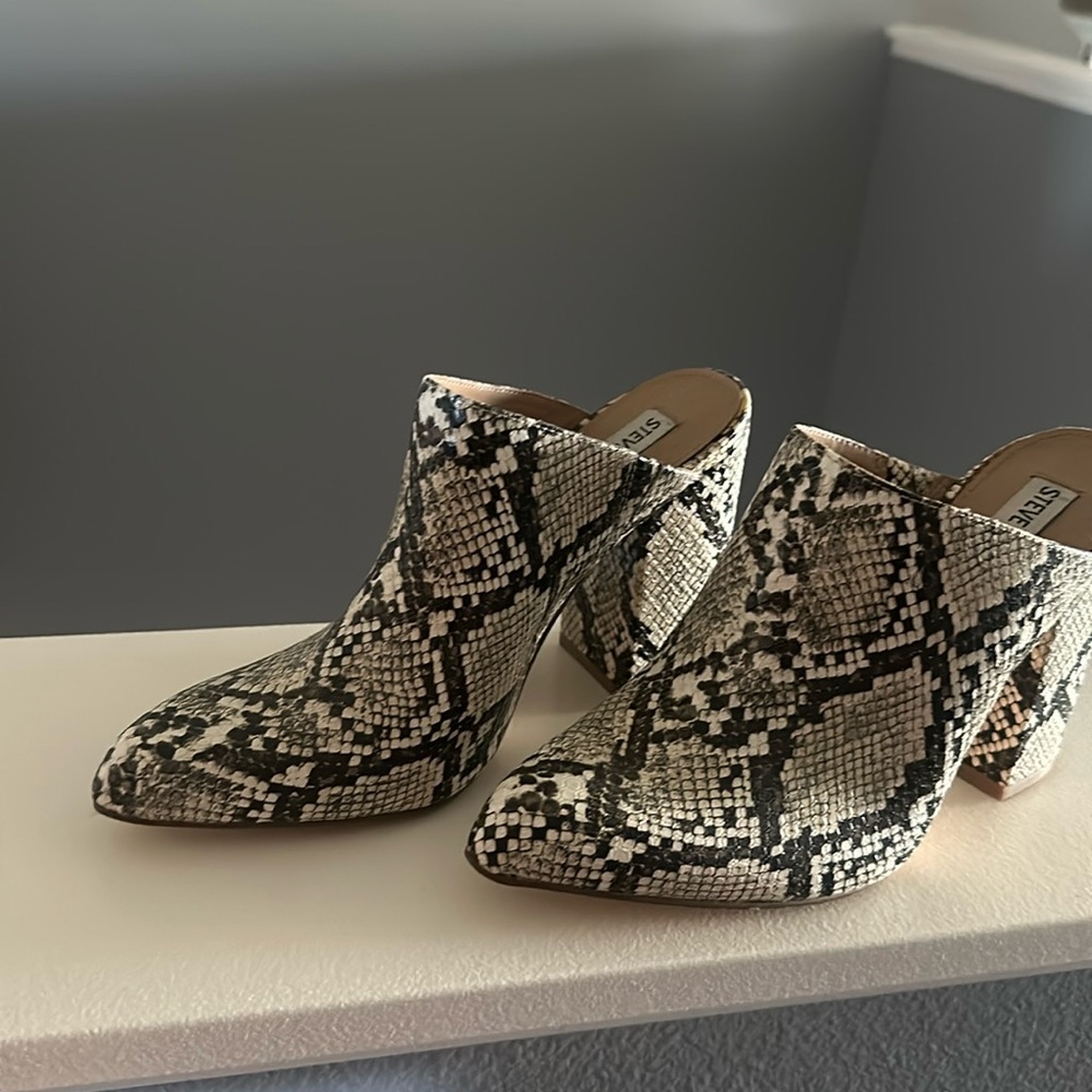 Steve Madden Snake print mule
